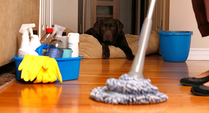 Как отчистить целую квартиру?